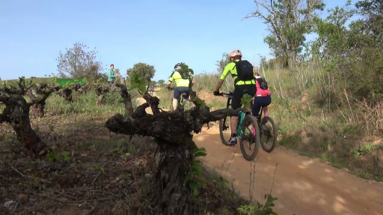 101 KM Peregrinos