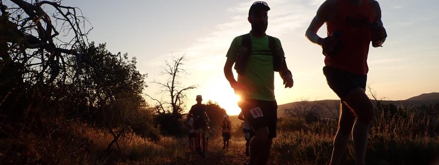 Anza Borrego Cuyamaca 50 Mile Run