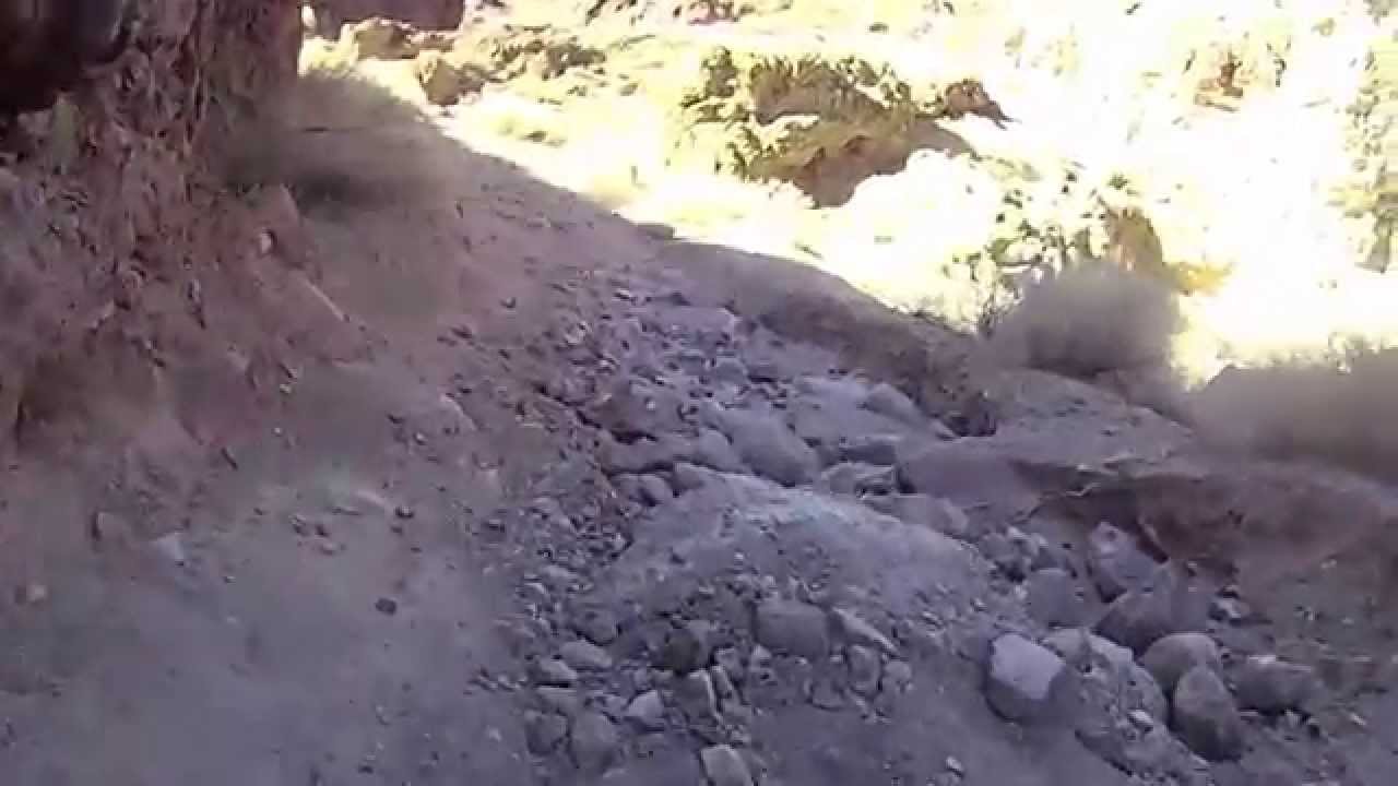Calico Trail Run