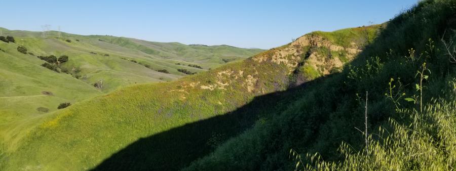 Chino Hills Trail Run Series