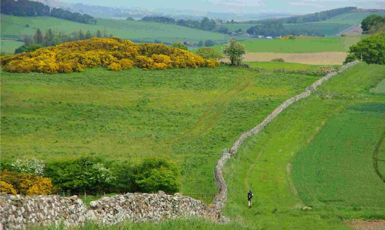 Fife Pilgrim Way Ultra