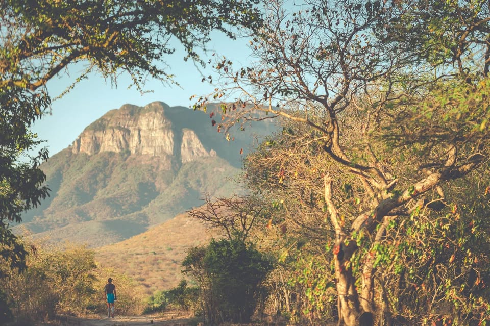 Kruger2Canyon Challenge
