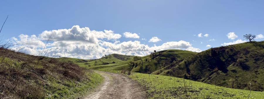 Las Virgenes Canyon Trail Races