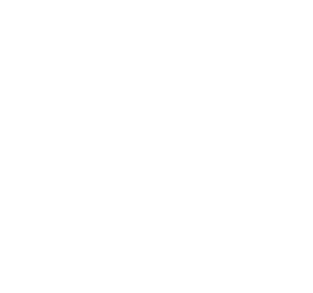 Last Dot Standing and 24/48 Hour by TJM Racing