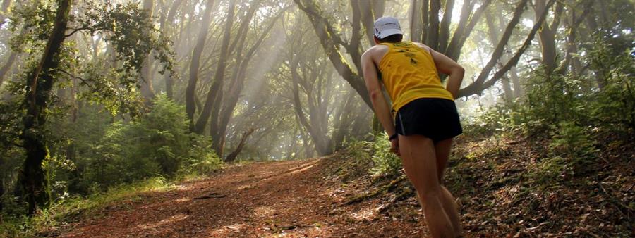 Marin Ultra Challenge