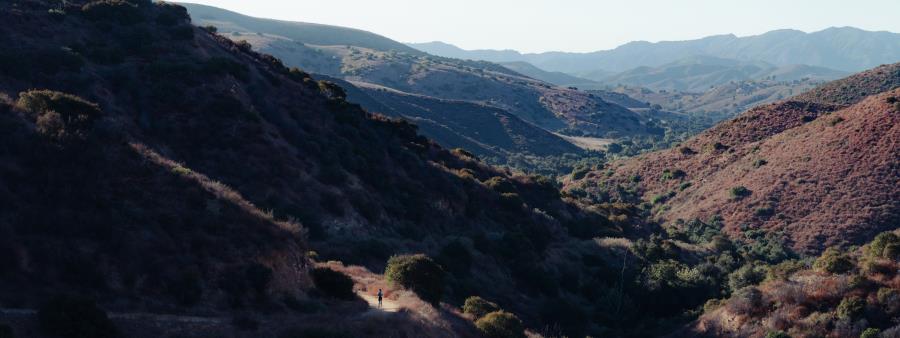 No Name Trail Races
