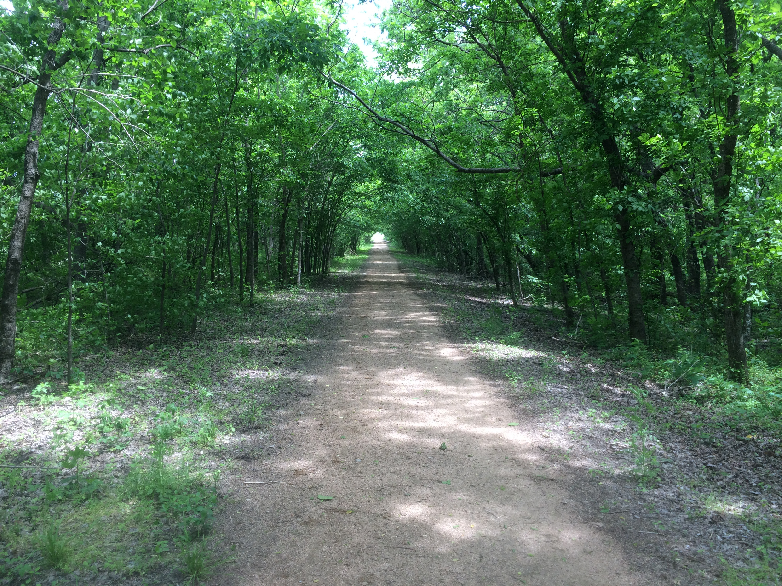 Oktoberfest Trail Run