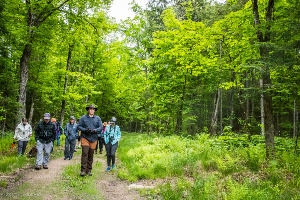 Paul Smiths Trail Running Festival