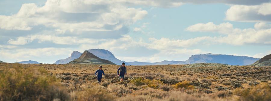 Run the Red Desert