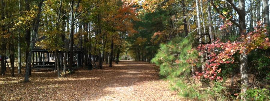 Sandy Bottom 8-Hour Training Run