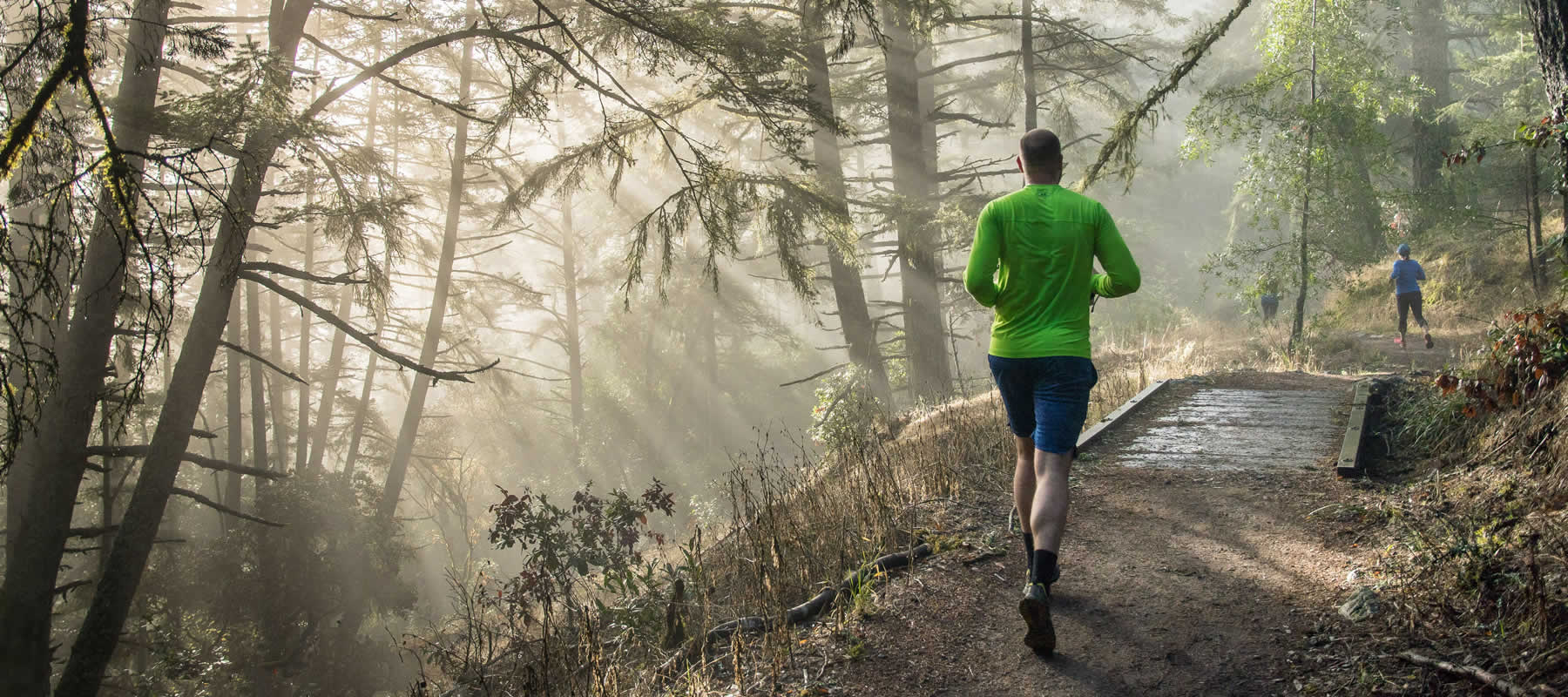 Skyline Wilderness Endurance Trail Run