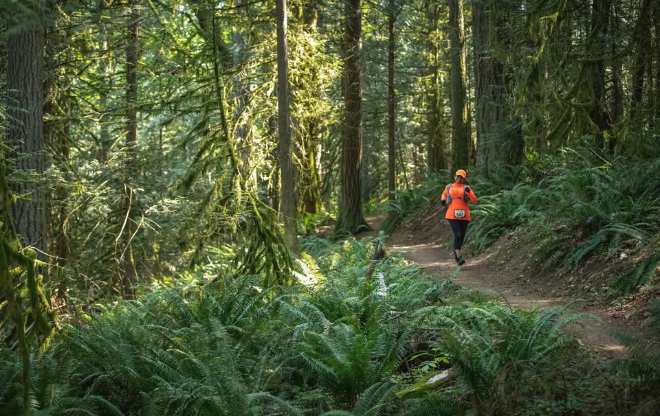 Squak Mountain