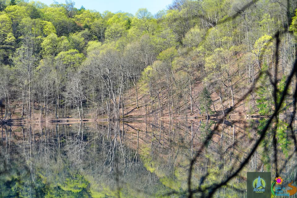Table Rock Trail Challenge
