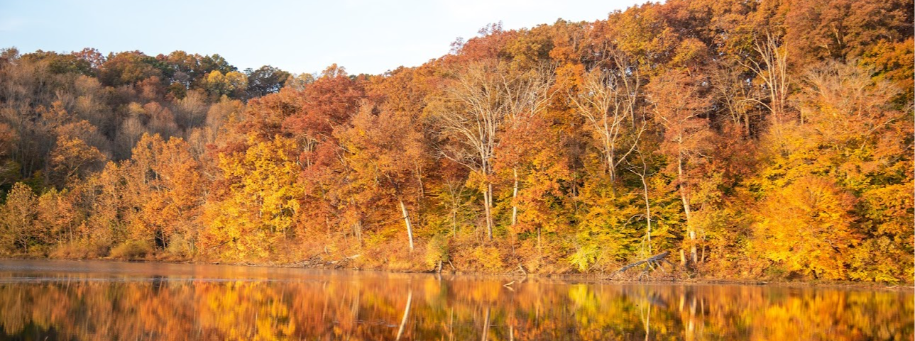 Tecumseh Trail Marathon