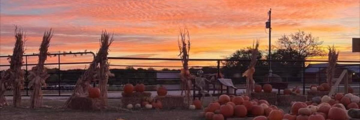 The Mammoth Glen Rose