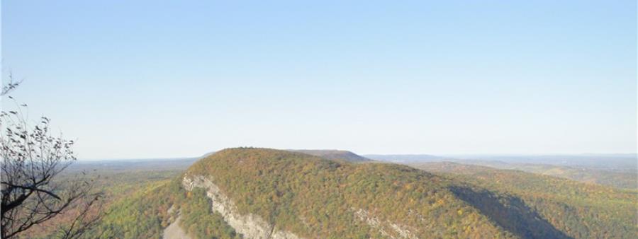 The MT. TAMMANY 10