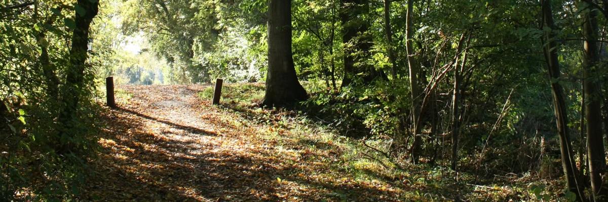 Toughest 'N Texas Trail Runs