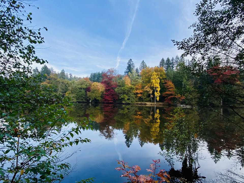 Trail du Haut Clunysois