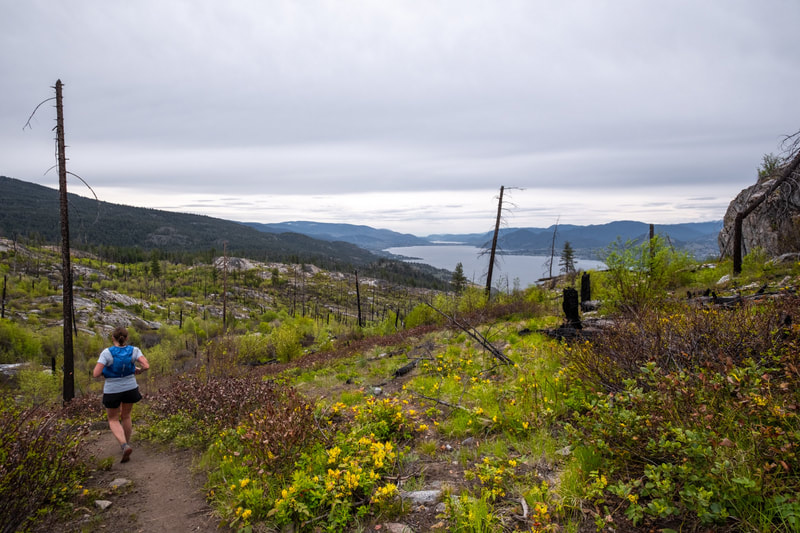 Wild Horse Traverse