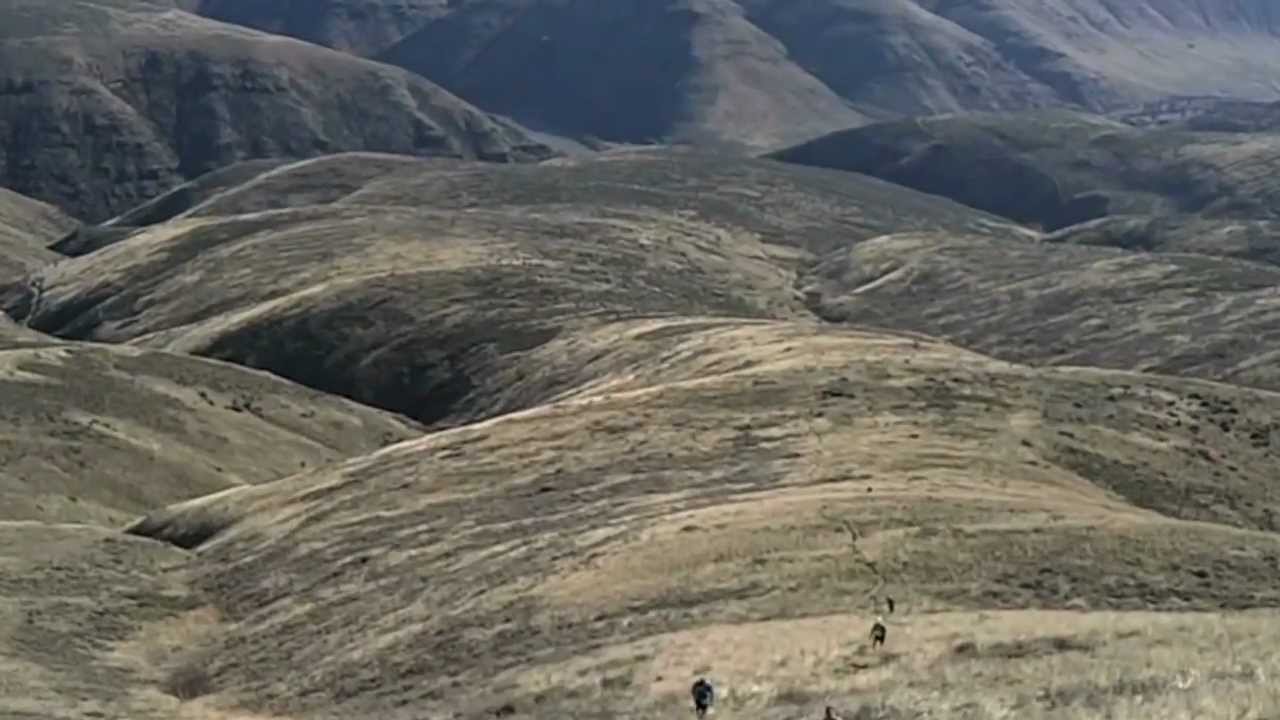Yakima Skyline Rim