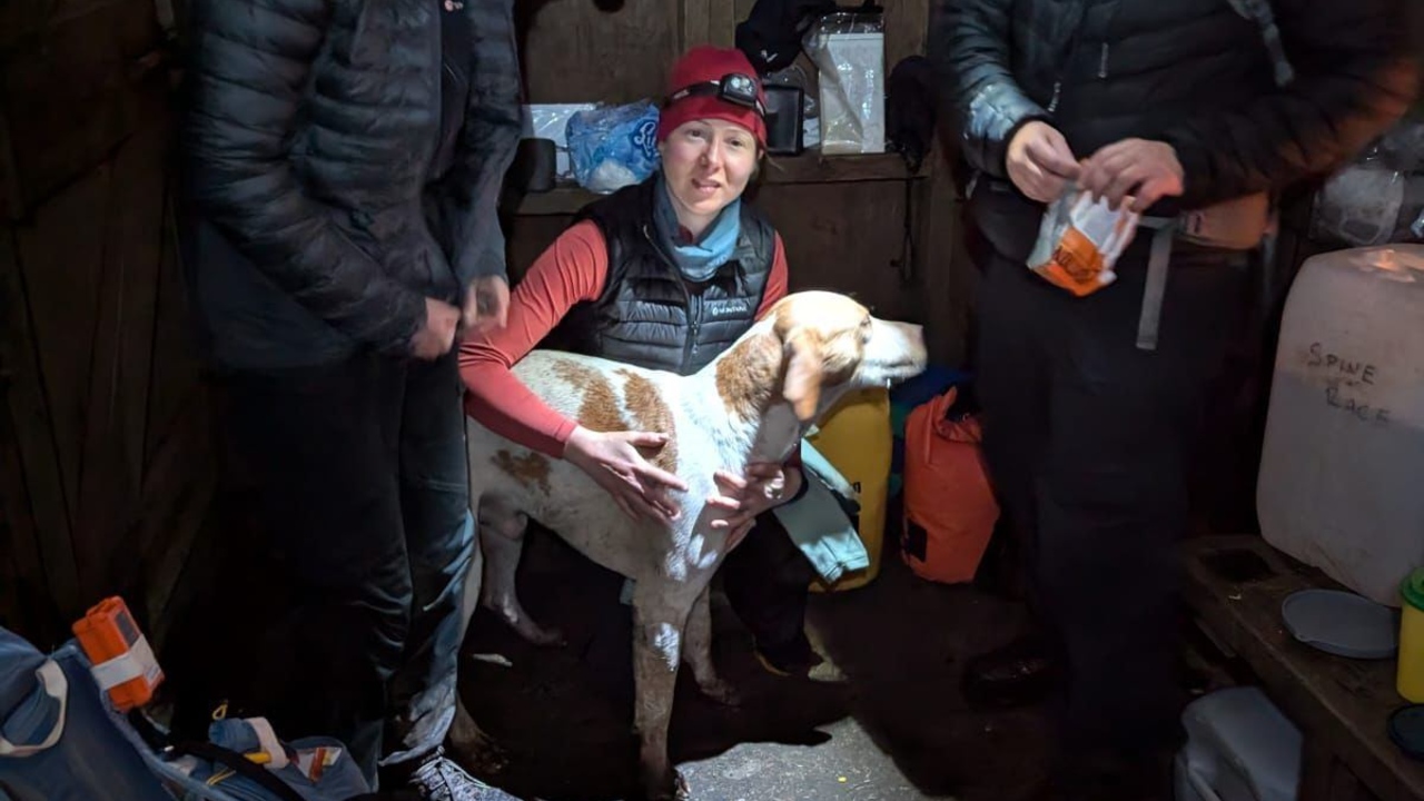 Story Winter Spine Race-Läuferin gefeiert, nachdem sie einen „zitternden“ verlorenen Hund in den Cheviot Hills rettete